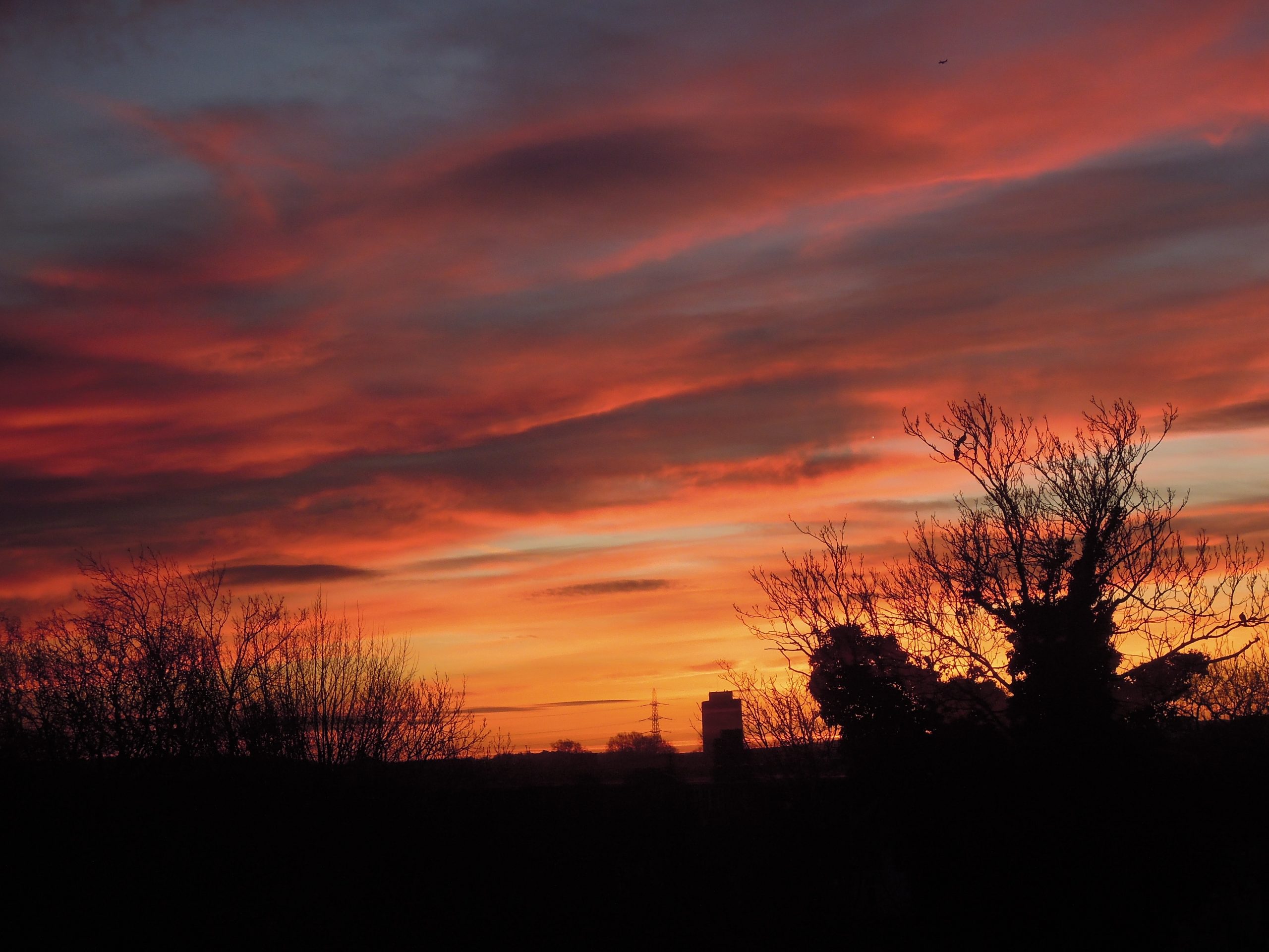 DSCN0265